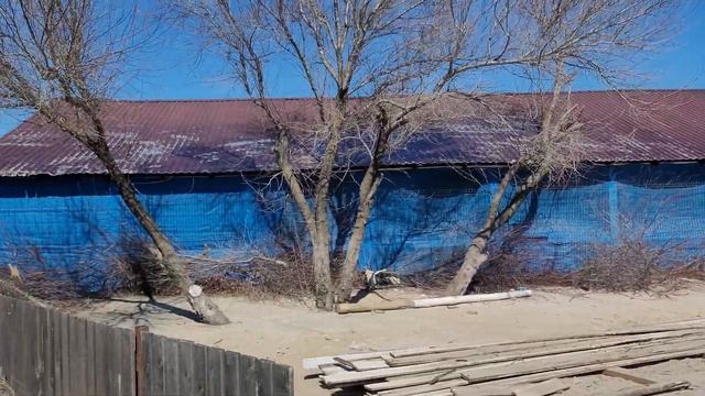 Веселовка сезон 2024 - ХОРОШИЕ НОВОСТИ. Место для тихого отдыха на Бугазской косе + СОЛЁНОЕ ОЗЕРО! смотреть онлайн