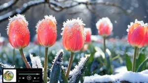 «Душевные Мелодии: Инструментальная Музыка для Вдохновения»