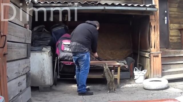 муд танцую после колбасы смотреть онлайн
