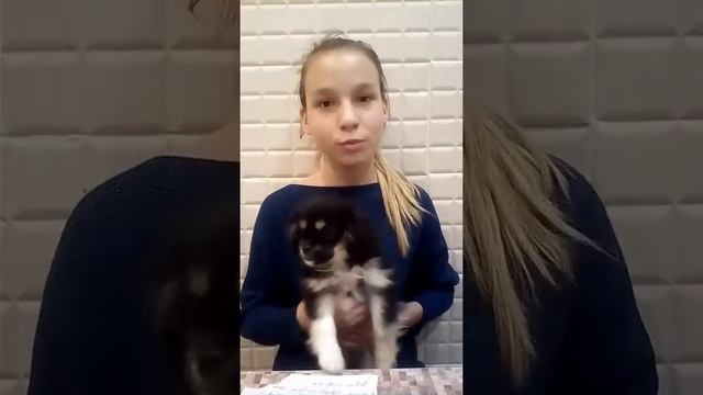 Знакомство с Соней😄😂😂 смотреть онлайн
