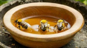 Зимняя поилка для пчёл.