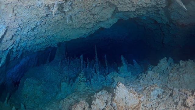 Goa Anoa. Sulawesi. Muna 2024