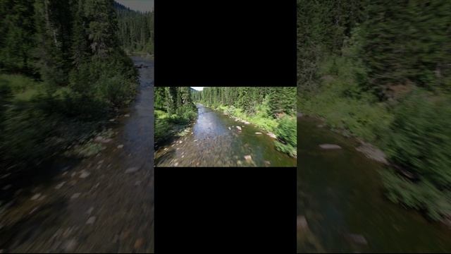 Природа с высоты смотреть онлайн