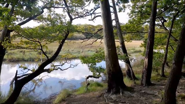 МОЯ ЖИЗНЬ. МОИ ИСТОРИИ. ВЫХОДИТЕ ЗАМУЖ, КАК ТОЛЬКО ПОЗОВУТ. Часть 2 смотреть онлайн