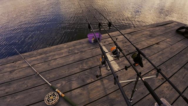 Вот это кайф, ловля карпа смотреть онлайн