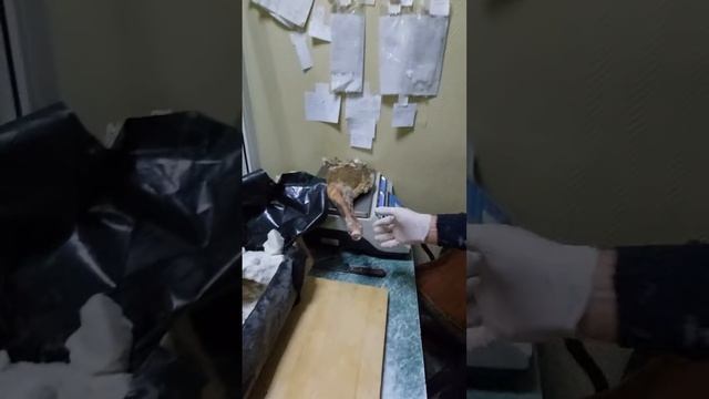 Хамон из баранины 4 смотреть онлайн