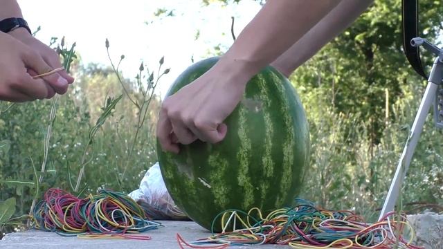 Эксперименты с арбузом смотреть онлайн