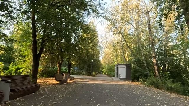 Заметив, что после визита свекрови ковер в зале лежит не так, Маша замерла… А решив поднять, замерл смотреть онлайн