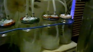 Самогон высшего качества за одну перегонку. Барбатеры  Сухопарник  3.  Масло и уголь.