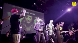 THE TRANSLATORS feat Найк Борзов  - Я трогал кошек live
