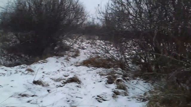 Прогулка и готовка картошки в печке смотреть онлайн