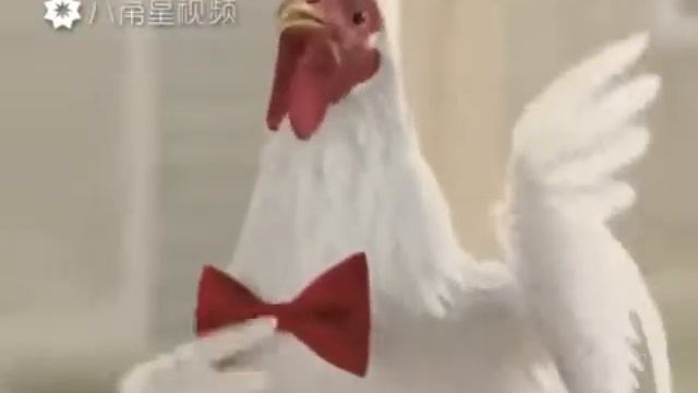 разговор T.E.H.Ь смотреть онлайн