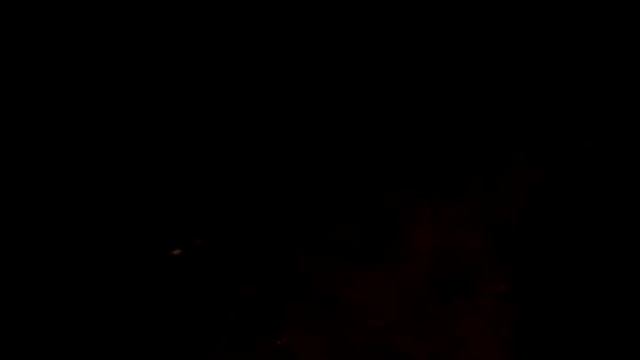 Кошки кушают ночью смотреть онлайн