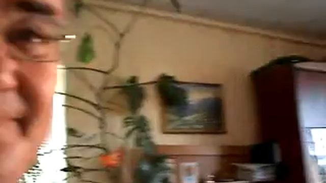 Пустомитівський суд ( явна неповага) до державного символу України смотреть онлайн