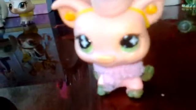 Про моих петшопов, про их еду и т.д.#1 серия. смотреть онлайн