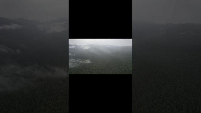 небольшие полеты и видео природы смотреть онлайн