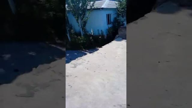 ГАНГСТЕРСКАЯ ШАВЕРМА (Супер острая) смотреть онлайн