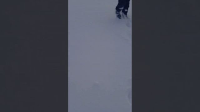 продолжение прошлого видео смотреть онлайн