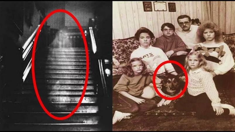 Призраки семьи Перронов_ дело Уорренов смотреть онлайн