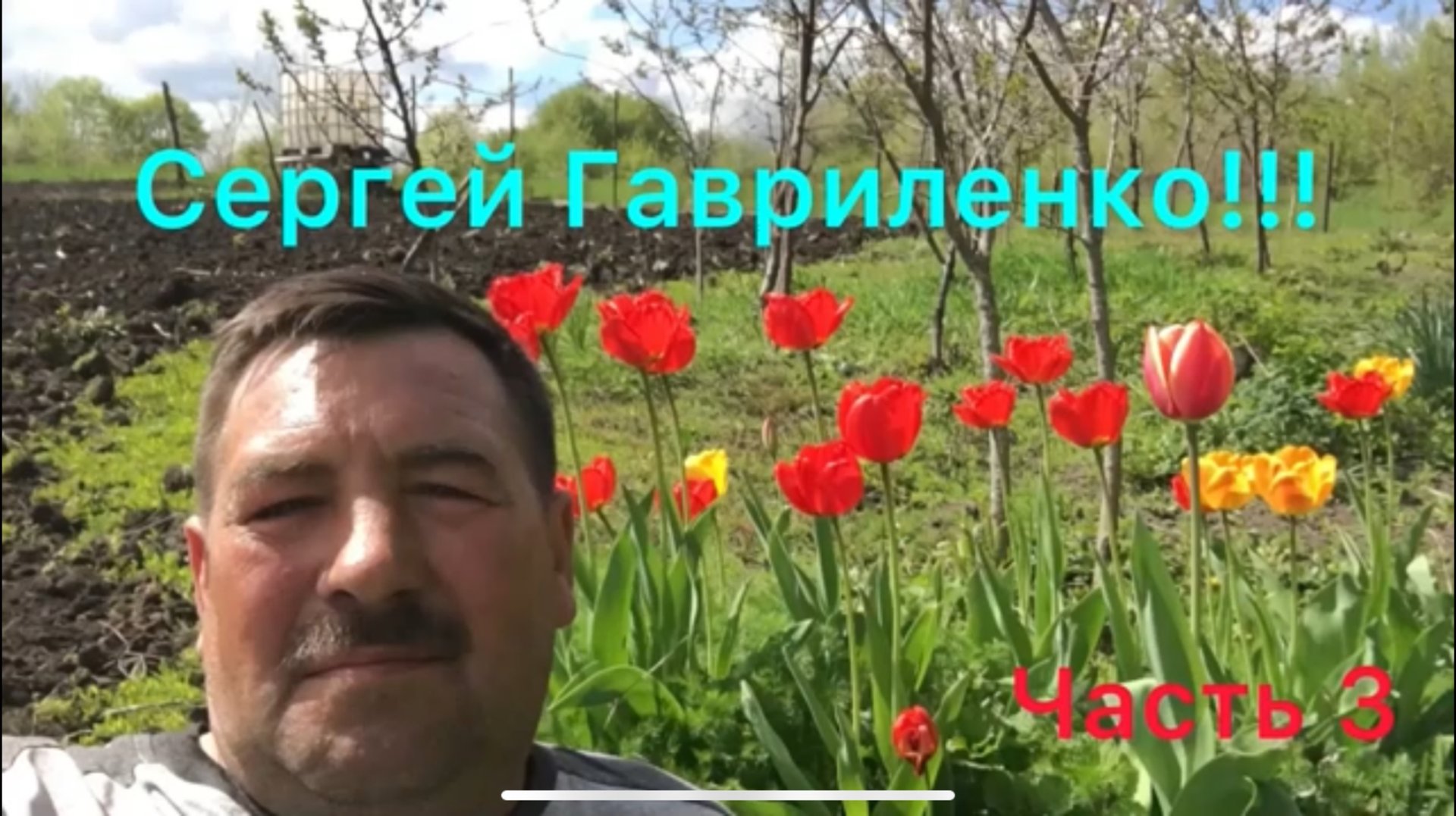 Часть3 из 4/ Посадка картофеля / Вспашка мотоблоком Нева/ 24 мая морозы давят. смотреть онлайн
