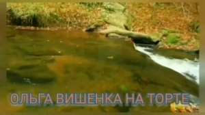 ХЕЙТЕРЫ ДЕРЖИТЕСЬ! ВЫХОД УРАЛЬСКОЙ КВОЧКИ! ОЛЬГА УРАЛОЧКА LIVE. ОБЗОР.
