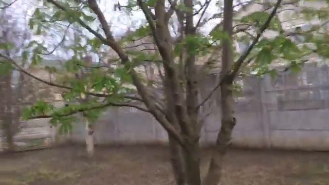 Очень важно когда тебя спаминают (отзывы): Спасибо вам за не ожижданный ролик - главный отношение смотреть онлайн