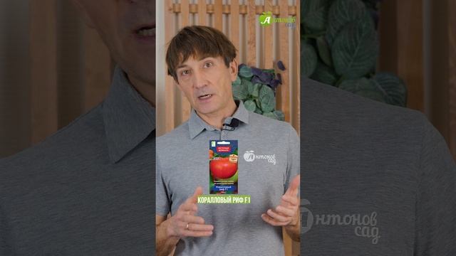 Ранние сорта томатов! смотреть онлайн