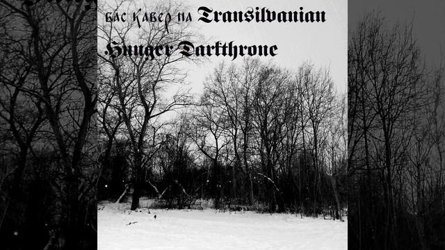 бас кавер на Transilvanian Hunger Darkthrone