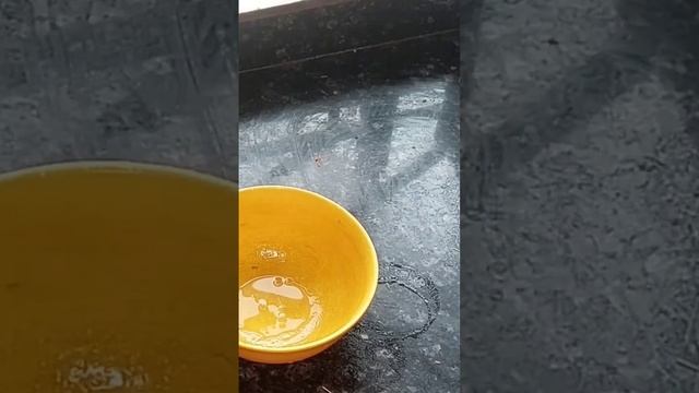 veg cutlet #shots #cookingvideo #utube #vegcutlets смотреть онлайн