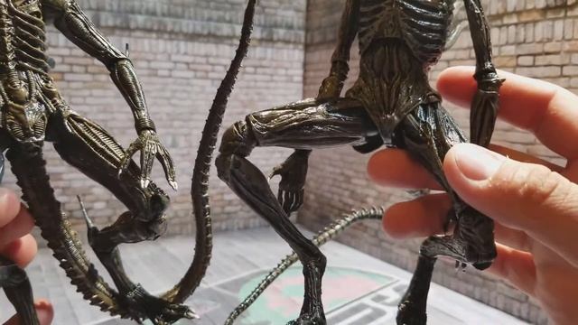 Neca Xenomorphs!!! смотреть онлайн