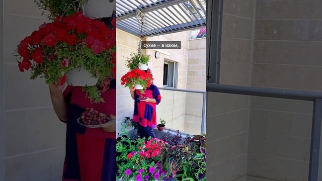 Выбор за вами смотреть онлайн