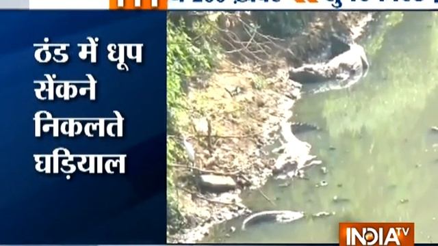 Superfast 200 | 23rd November 2016, 5:00 PM ( Part 2 ) - India TV смотреть онлайн
