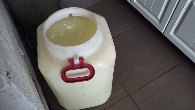 СОБИРАЕМ ЗАКАЗЫ ДЛЯ ПОКУПАТЕЛЕЙ • ВЫГУЛИВАЕМ КОРОВОК смотреть онлайн