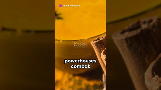4 Ingredients Golden Milk Mix, Anti-inflammatory Drink #shorts #inflammation #antiinflammatorydiet смотреть онлайн