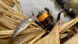 УЛЬТРАЛАЙТ ЗИМОЙ 2025. Ловля ОКУНЯ по холодной воде на полярис и вайтбейт