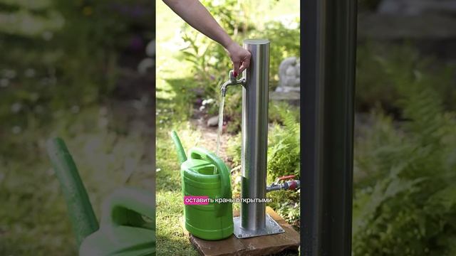 7 важных дел ноября в вашем саду #садоводство смотреть онлайн