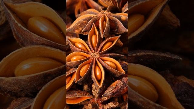 АРОМАТИЗАТОРЫ ДЛЯ КАРАСЯ ВЕСНОЙ смотреть онлайн