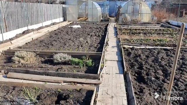 213. Когда сажать Розы в открытый грунт. Салаты посеял. смотреть онлайн