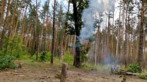 ✅🔥ВЗОРВАЛ КОРСАР 5000🔥РАЗОРВАЛО КОЛОДУ В КЛОЧЬЯ МОЩНЫМИ ПЕТАРДАМИ 🔴 ЧУТЬ НЕ УБИЛО КУСКОМ КОЛОДЫ