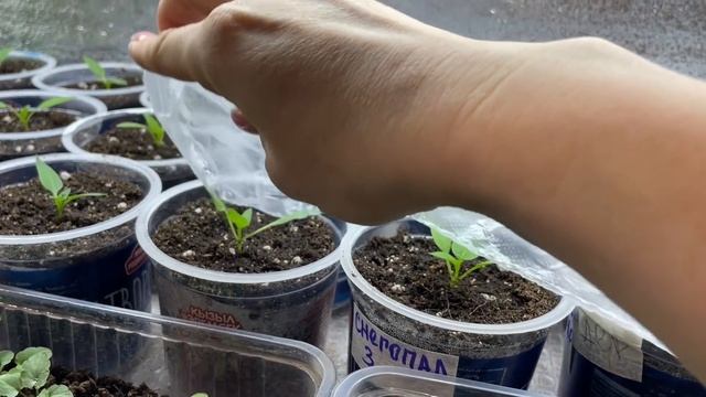 ВАЖНАЯ ИНФОРМАЦИЯ! смотреть онлайн