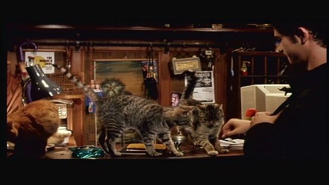Euro trip : Unrated Deleted Scenes \Scott Mechlowicz,Jacob Pitts,MichelleTrachtenberg,Travis Webste смотреть онлайн