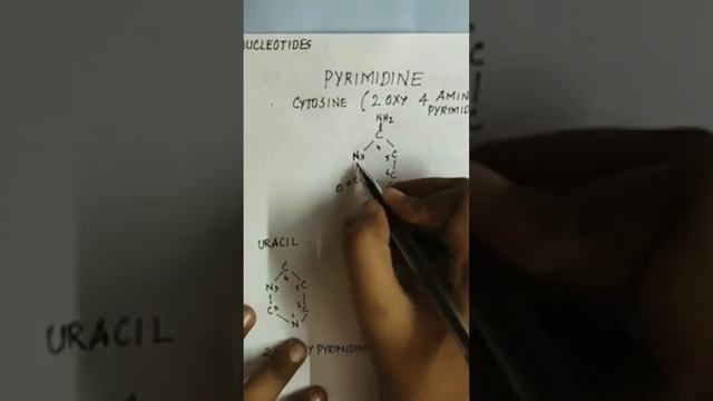 structure of nucleic acid cytosine structure смотреть онлайн