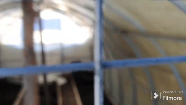 200. ЛЫЖИ охотничьи. На ДАЧУ в феврале. смотреть онлайн