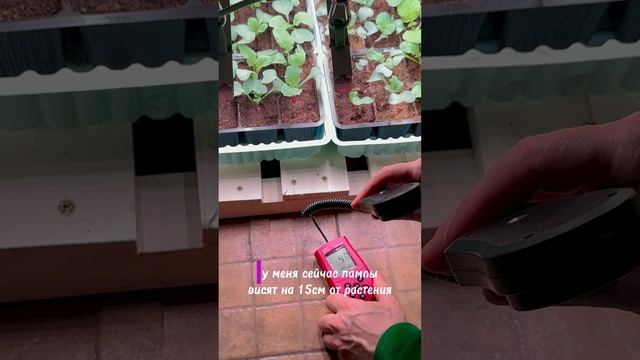 ЧТО ПОКАЗЫВАЕТ ЛЮКСМЕТР? смотреть онлайн