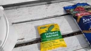 Подкормка роз весной: пошаговое руководство для красивого цветения.