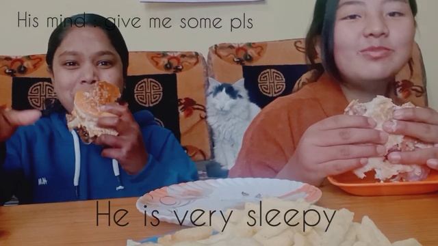 (Mukbang with sister), Chicken burger , spicy ramen , chips , coca cola. ( funny moments) смотреть онлайн