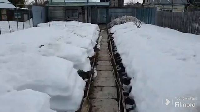 208. В марте на огороде. Яблоню обрезал. Редиска и салат колосятся. смотреть онлайн