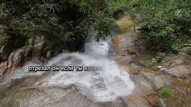 ЖЕНА ИЗМЕНИЛА МУЖУ С ЛЮБОВНИКОМ НА КОРПОРАТИВЕ, НО МУЖ РАЗРУШИЛ ЕЁ ПЛАНЫ ПОЕХАТЬ В ГОСТИНИЦУ