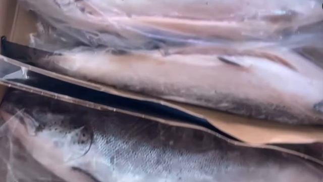 Семга свежемороженая 🐟 смотреть онлайн