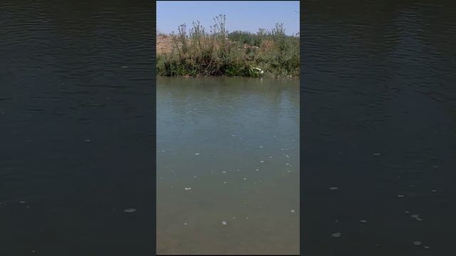 +45 и река Талас смотреть онлайн